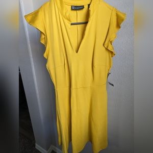 NY & Co Mustard/Yellow Ruffle Sleeve Dress